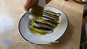 Portugal : les sardines