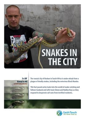 Spitting Mad Cobra