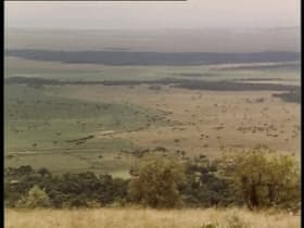 Plains and Boats and Trains