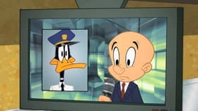 Working Duck