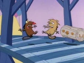 Born to Be Beavers/Up All Night