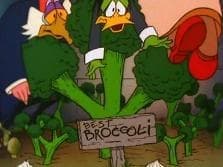 Duck and the Broccoli Stalk