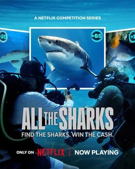 Sharks After Dark