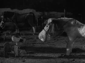 Horse Thieves