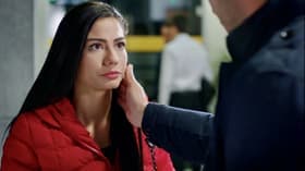 Episode #1.20
