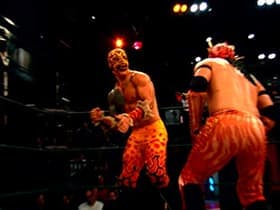 The Way of the Drago