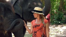 The Elephant in the Room