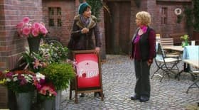 Röschens Rosen
