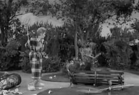 Lucy and the Runaway Butterfly