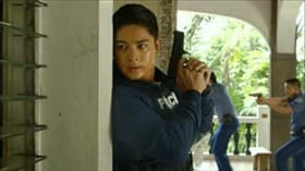 Cardo To The Rescue