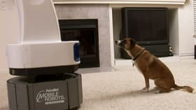Robotic Dog Sitter