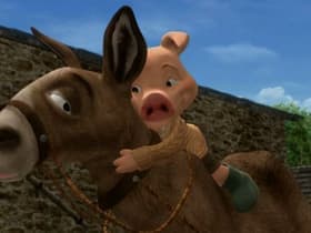 Donkeys Into Racehorses
