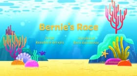 Bernie's Race