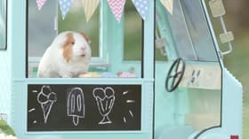 The Happy Place Market