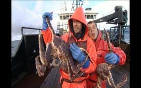 Crab Fisherman