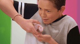 Would You Wrather Have A Hippo?