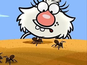 Ants Revolution/Tide Pool Tough