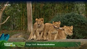 Bestandsaufnahme