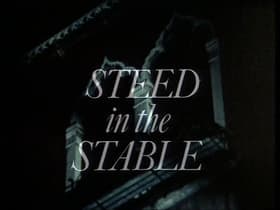 Steed in the Stable