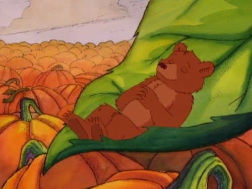 The Rain Dance Play/Your Friend, Little Bear/Fall Dream