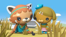 The Octonauts and the Caterpillar Caravan/The Octonauts and the Curious Penguin