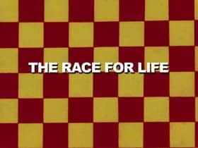 The Race for Life
