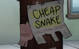Night Bill/Cheap Snake