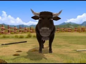 The Medallion, The Moth, Bullfighter, At The North Pole, The Package