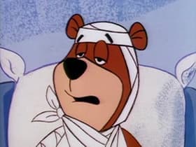 Bearly Sick