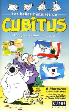 De IJskast