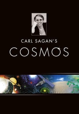 The Shores of the Cosmic Ocean