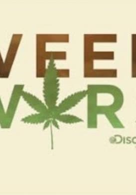 World's Largest Medical Marijuana Dispensary