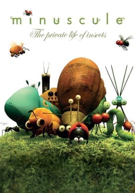 La coccinelle